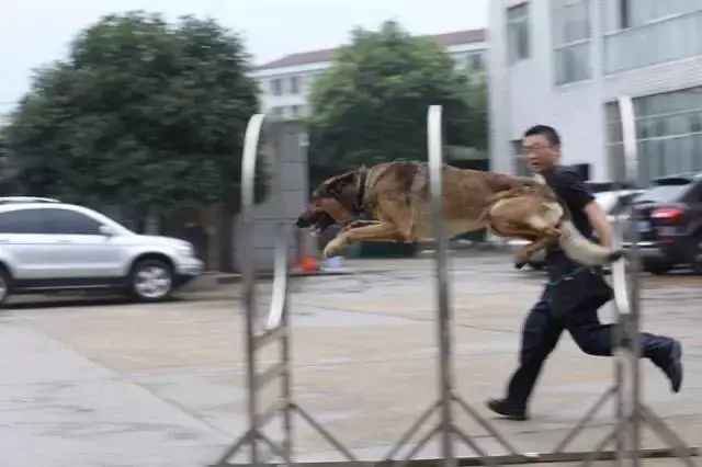为什么篮球不同位置需要不同的训练重点_1